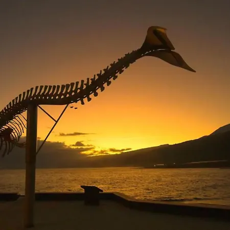 Caleta Interian شقة *