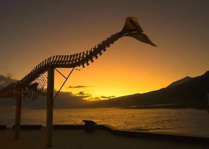 Caleta Interian شقة *